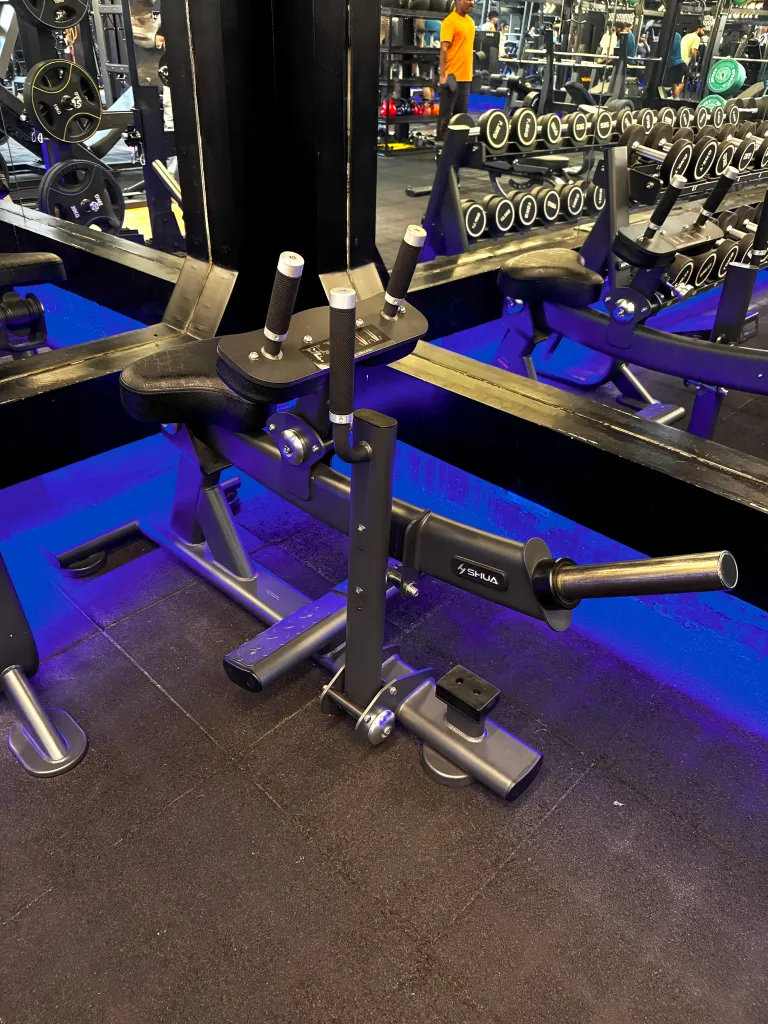 Seated Calf Raise